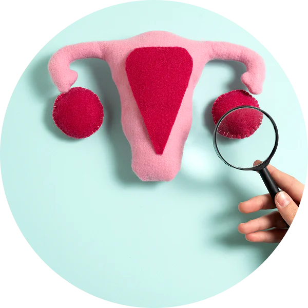 Uterine Abnormalities and Fertility - AAS Fertility & IVF Center