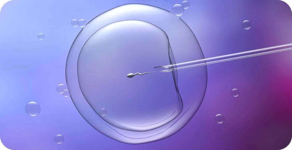 IVF Process - AAS Fertility