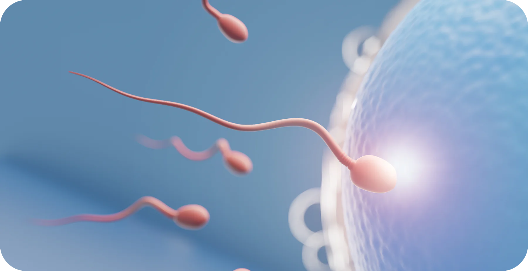 Best IVF Center in Lahore: What Patients Look For - AAS Fertility & IVF Center