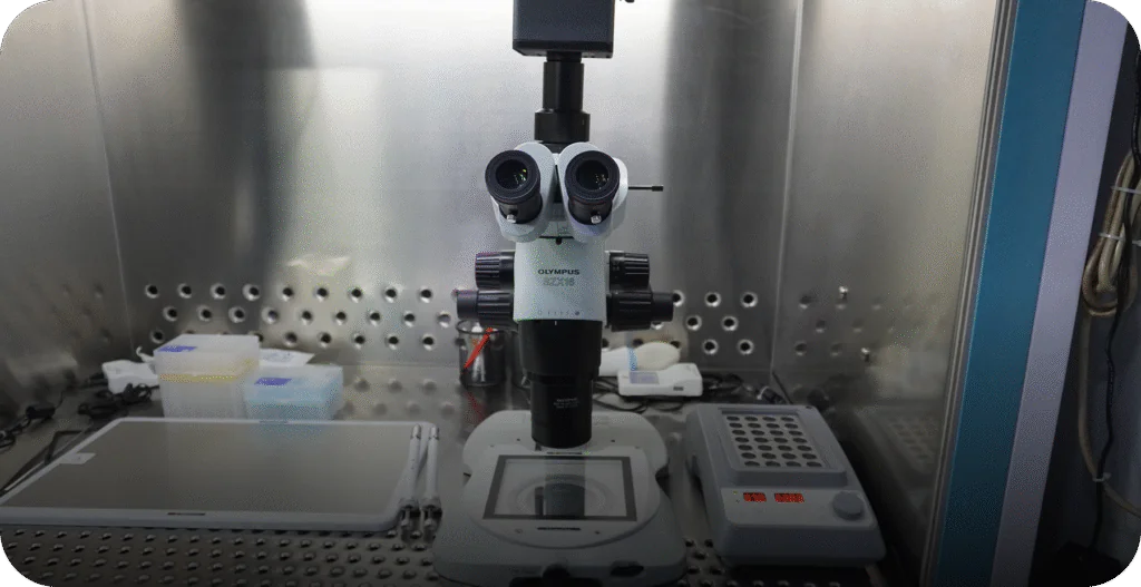 High-resolution Olympus microscope inside a sterile laminar flow hood in the embryology lab. - AAS Fertility